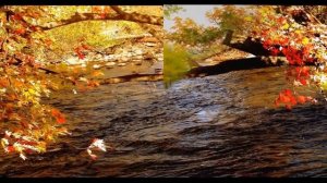 Фредерик Шопен НОКТЮРН до-диез минор - Frederic Chopin NOCTURNE C-sharp minor (cis-moll)