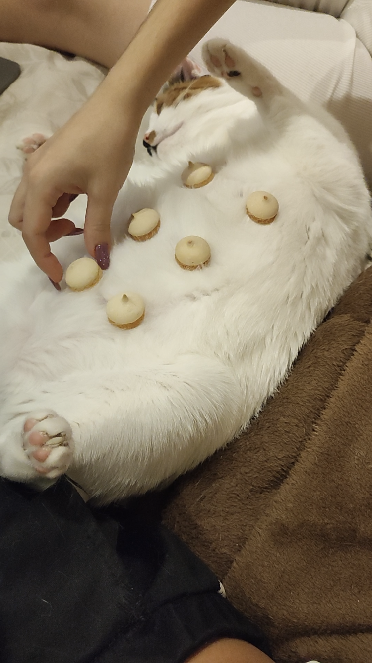 свинина по шубой?