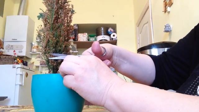 Стрижка кипарисовика Элвуди , пробую себя в роли парикмахера! смотреть онлайн