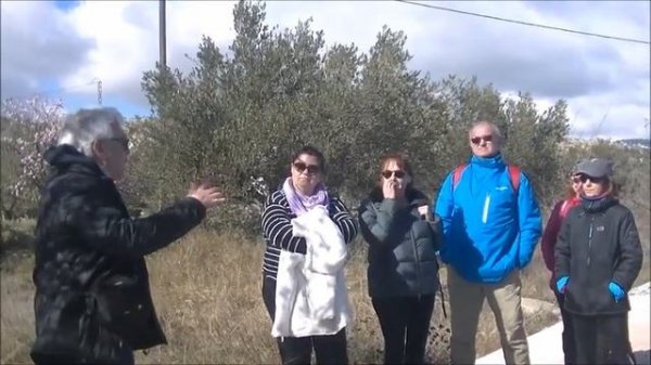 Ametller, Prunus amygdalus; floració: botànica i mitologia.