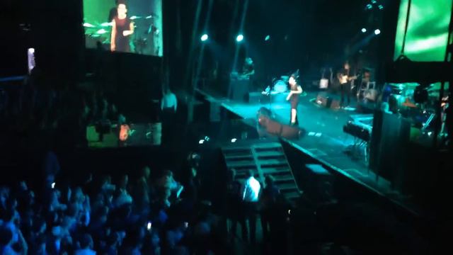 Елка - сука-любовь