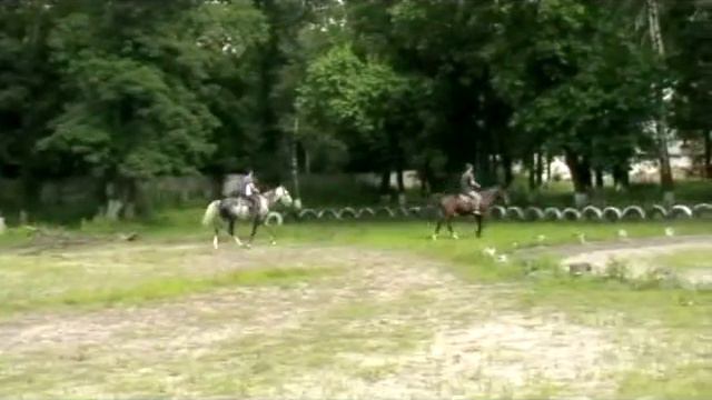 В Северной Осетии возродят конный театр « Нарты» смотреть онлайн