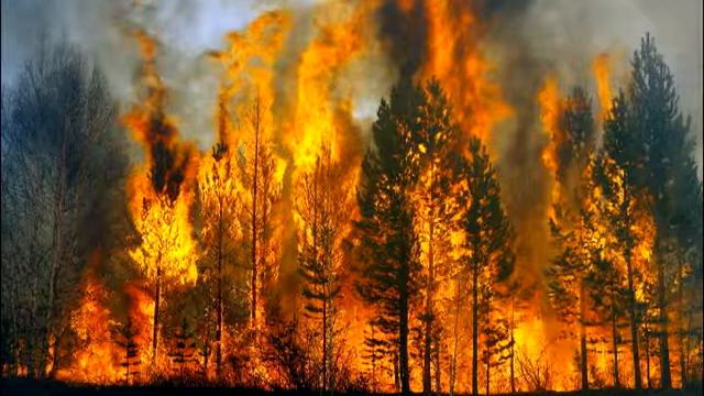 ЗОШ №17 "Вогонь друг-вогонь ворог" смотреть онлайн