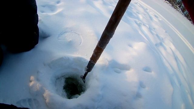 Зимняя рыбалка на таежной реке! Таких рыбалок у меня еще не было! Рыбалка на севере. Рыбалка 2022 смотреть онлайн