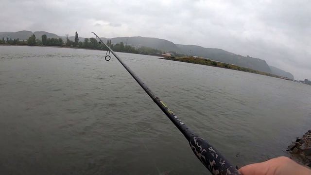 Какая ПРИМАНКА нужна ОКУНЮ летом!? смотреть онлайн