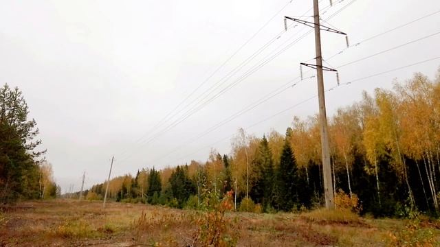 ЛЭП. ч.1. Октябрь 2023