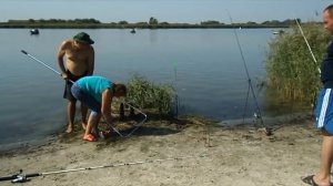 Осенняя рыбалка на сазана  на Дону с берега , в Рогожкино. Зачётный улов.