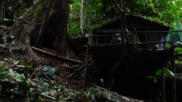 FULL VIDEO 300 Days Survive In The Rainforest. Build Bushcraft Shield, Sleeping In The Deep Forest.