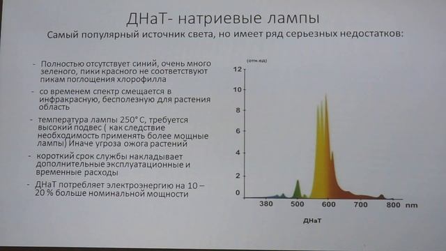 ФИТОЛАМПЫ или ДНаТ | ПРОВЕССИОНАЛЬНОЕ СРАВНЕНИЕ