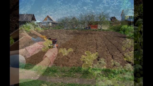 Подкормка и сохранение плодородия почвы дешевым органическим удобрением. Сад. Огород. Виноградник. смотреть онлайн