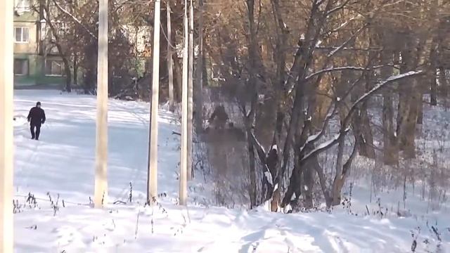 Снегоход Разгуляй 15 смотреть онлайн