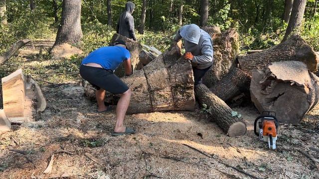 20 вересня 2023 р.?STIHL MS 462С-М?? смотреть онлайн