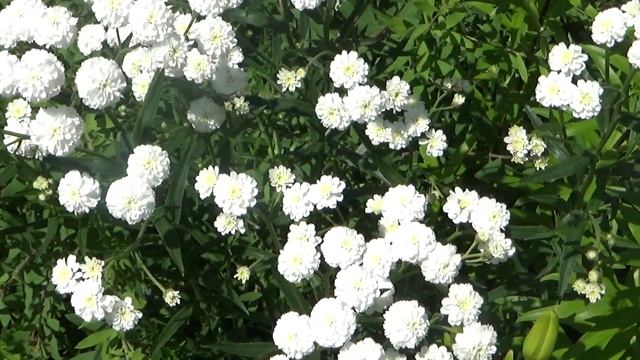 Фотография Моделей и Фэшн-съемок