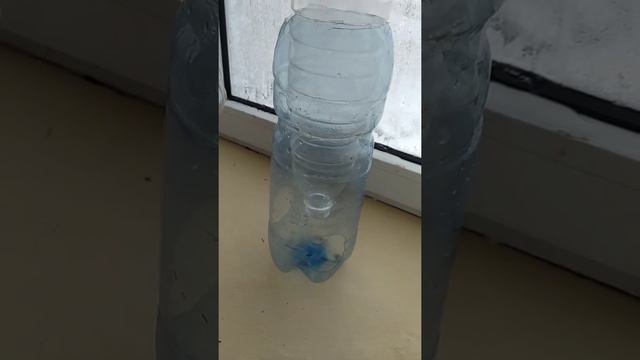 Как сделать кормушку для птиц смотреть онлайн