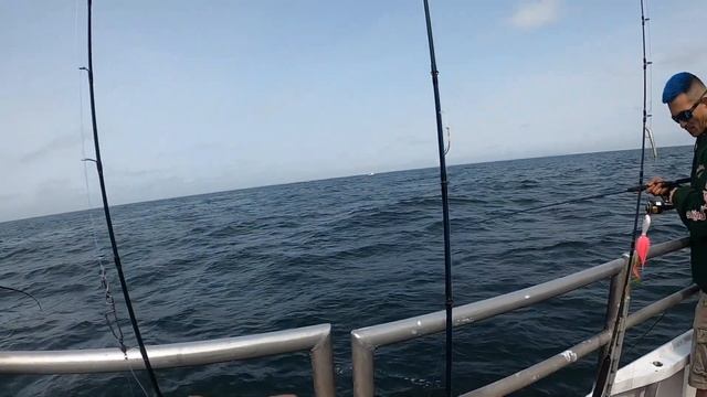 Black Seabass fishing Jersey shore (Gulp sand-eel on ?) Party Boat trip смотреть онлайн