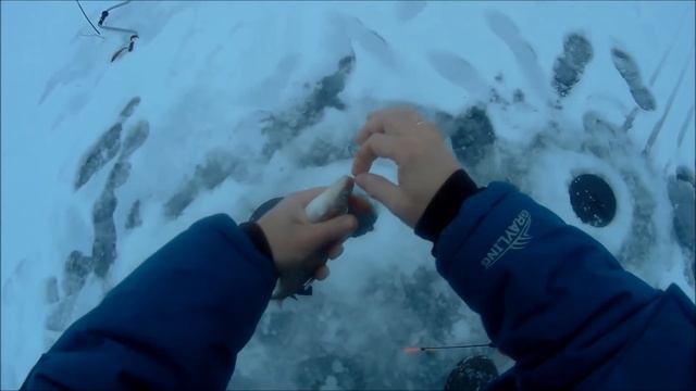 Карелия Зимняя рыбалка 2019 озеро Чегозеро Лещ Трофей смотреть онлайн