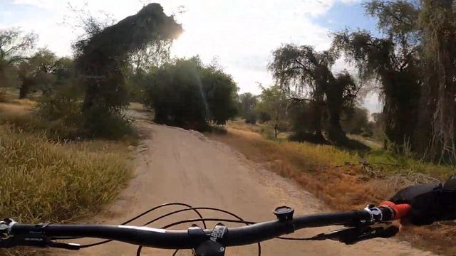 Chill Tuesday Ride / This Video Is Intended For Mushrif Park MTB Trail First Time Users смотреть онлайн