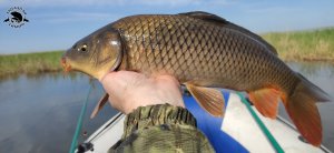 Напороли САЗАНА💪 оз. Сартлан. Рыбалка на поплавок!