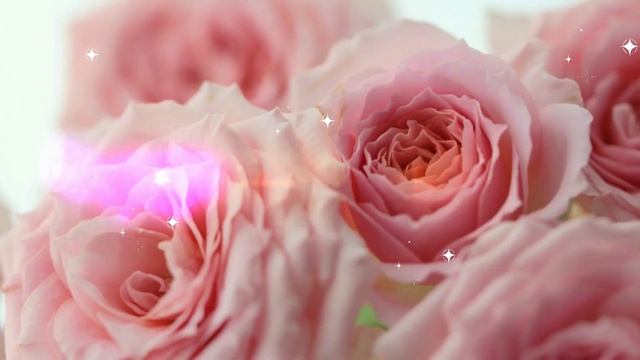 Футаж фоновый, нежные розы/Background footage, delicate roses смотреть онлайн