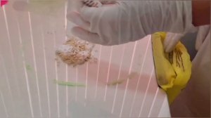 "КОД ЖЁЛТЫЙ" при разлитии биологической жидкости