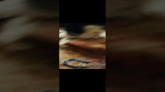 ШОК! ЧТО ВЫТВОРЯЮТ ХАСКИ КОГДА ХОЗЯЕВ НЕТ ДОМА! смотреть онлайн