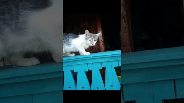 Мой дом, моя семья