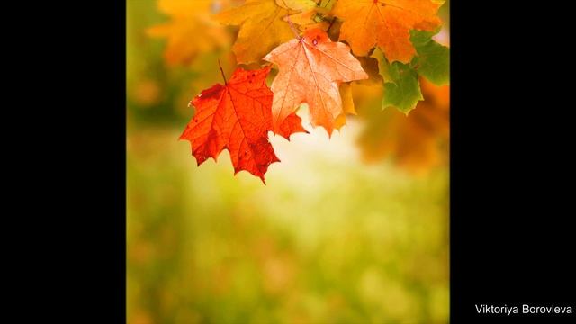 Музыкальная открытка Осень, ты на грусть мою похожа смотреть онлайн