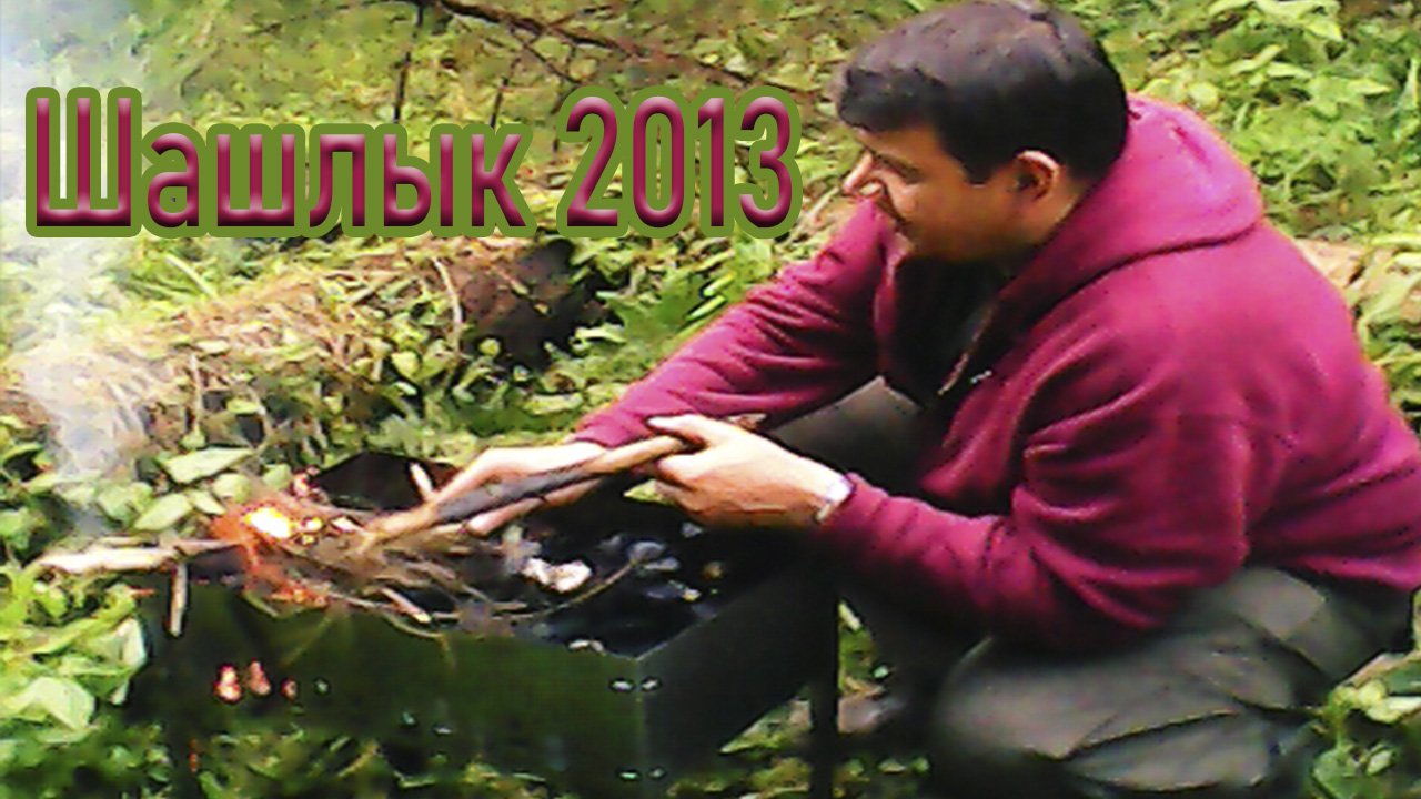 Шашлык 2013 года/  Пятницкое шоссе