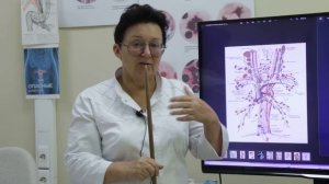 Сигналы о помощи щитовидной железы. Как не пропустить и не перепутать? [Шишова О.И.]