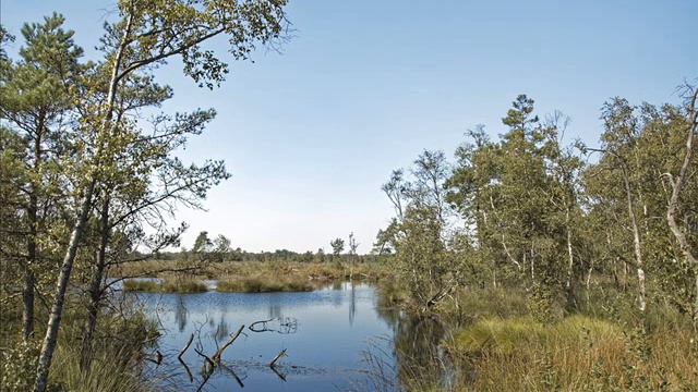 Auf der Lüneburger Heide смотреть онлайн