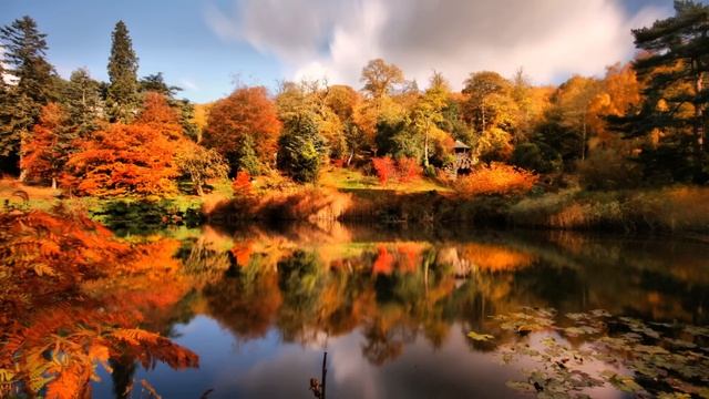 СВЕКРОВЬ и НЕВЕСТКА невзлюбили друг друга еще до ЗНАКОМСТВА. Истории из жизни. смотреть онлайн