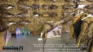 Чучело белолобого гуся с механическими машущими крыльями