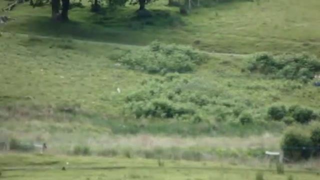 Renault Clio V6 смотреть онлайн