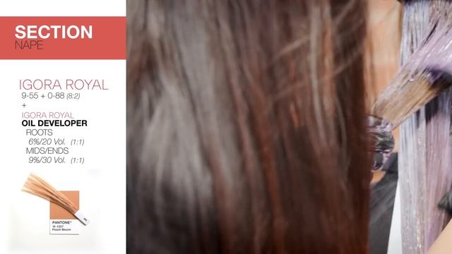 How to Use Warm & Cool Tones ? Pantone-Inspired IGORA ROYAL Mixes | Schwarzkopf Professional смотреть онлайн