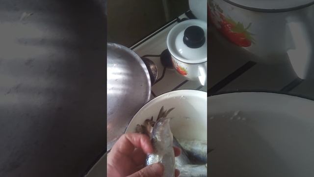 Повесьте свои дипломы в сортир,Ритейлеры в Москве,Керчь угарает!Анатолий Шарий