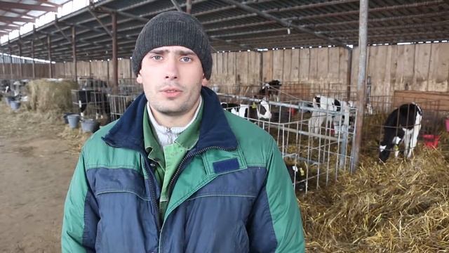 Эффект Концентрированного оптимизатора корма 