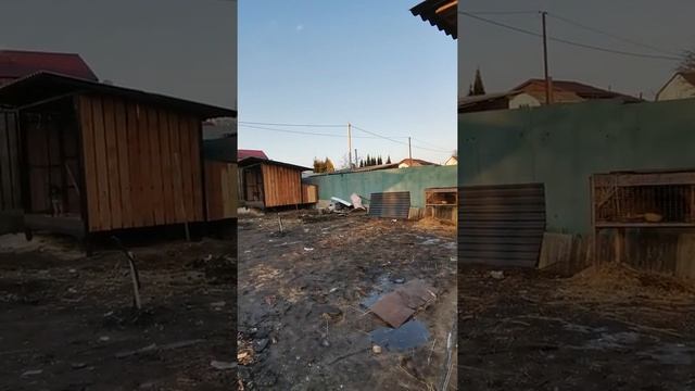 Как построить Курятник(птичник)своими руками для несушек бройлеров дёшево.Бройлеры и несушки вместе смотреть онлайн