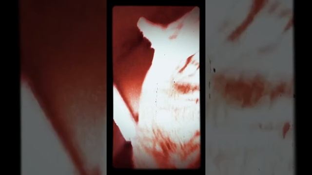 The Babyboy Tango -original noise смотреть онлайн