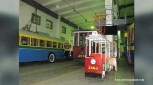 Он построил железную дорогу у себя на даче. #Железнодорожное