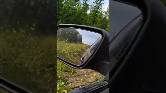 Горы Махачкала море смотреть онлайн