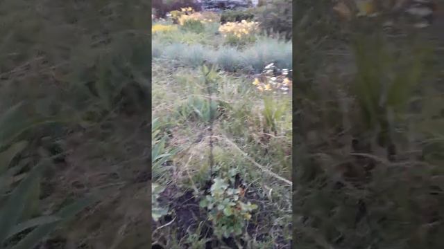 Самое начало лета (ч.1) смотреть онлайн