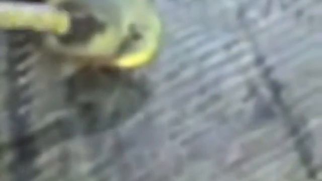 Не лезь ко мне смотреть онлайн