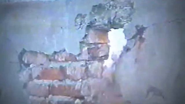 Вещие Ослы - Х/ЙНЯ смотреть онлайн