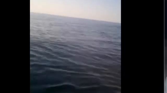 Витязево Черное море,Видео;05 09 2016 смотреть онлайн