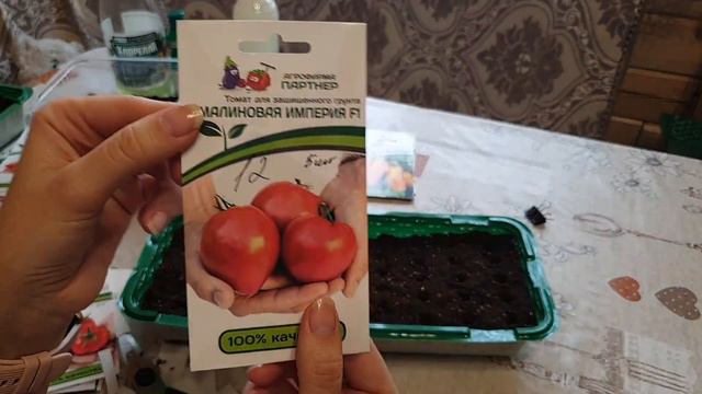 БУДЕТ МНОГО ТОМАТОВ!!! Посев семена ПАРТНЕР смотреть онлайн