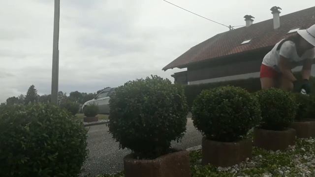 Filipina life living abroad: It's time to trim my plants with Bosch Isio cordless смотреть онлайн