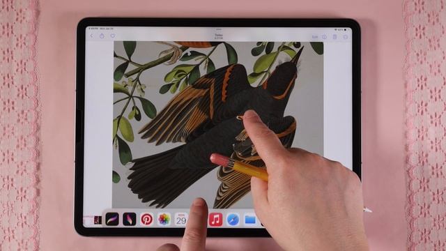 Procreate Dreams: Animated Collage Tutorial + Photos смотреть онлайн