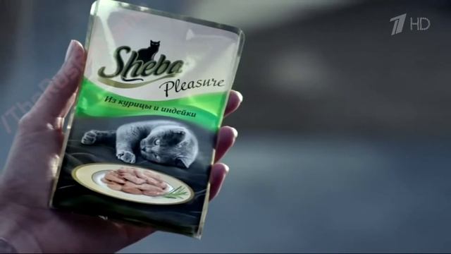 Аdvertising  Реклама Sheba Pleasure 2015   Шеба   Следуй своим желаниям