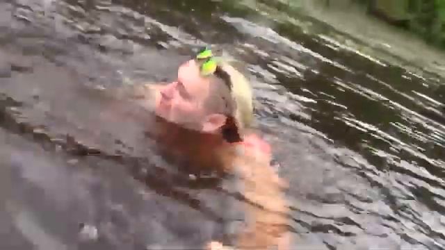 ВСЁ унесло==поёт хит певец ПРОРОК САМБОй смотреть онлайн