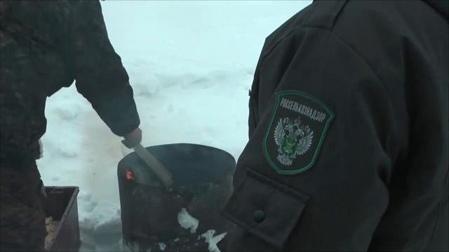 Уничтожение семян зараженных повиликой смотреть онлайн